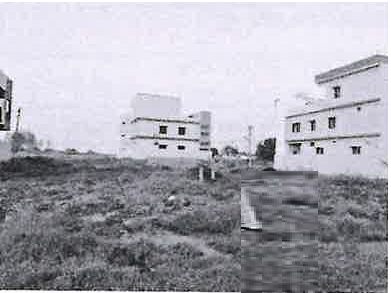 course